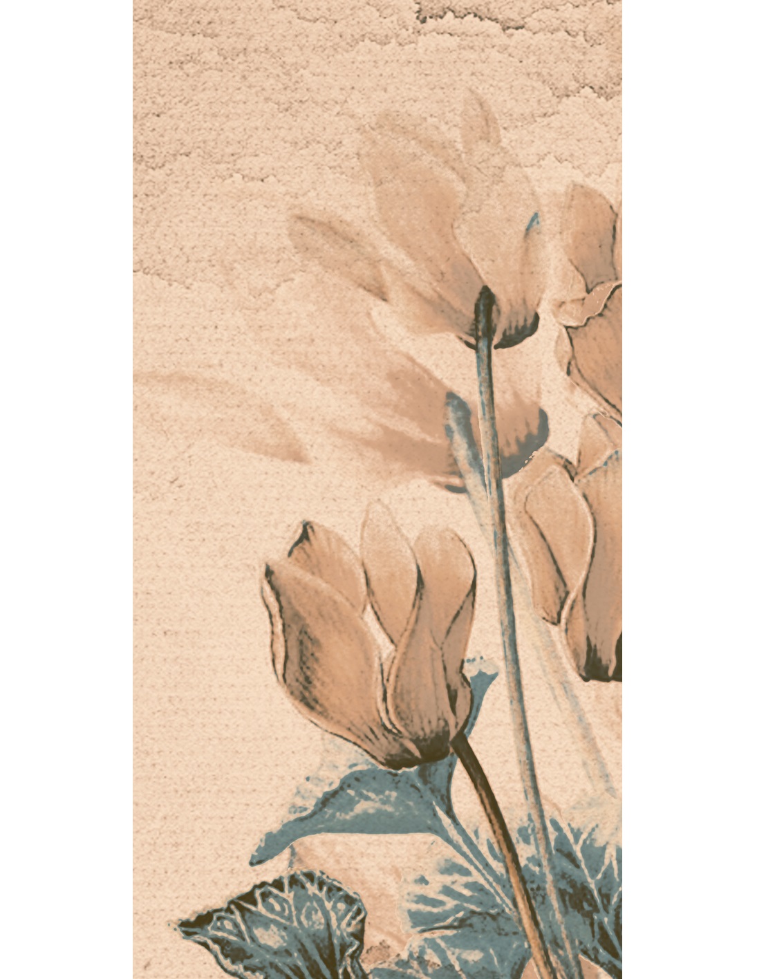 Habitat Timber Bloom F2 (no random) 30x60